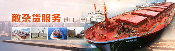 Bulk cargo transportation